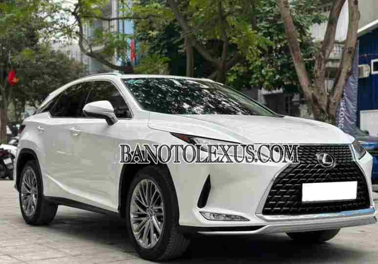 Lexus RX 300 2020 Số tự động giá đẹp