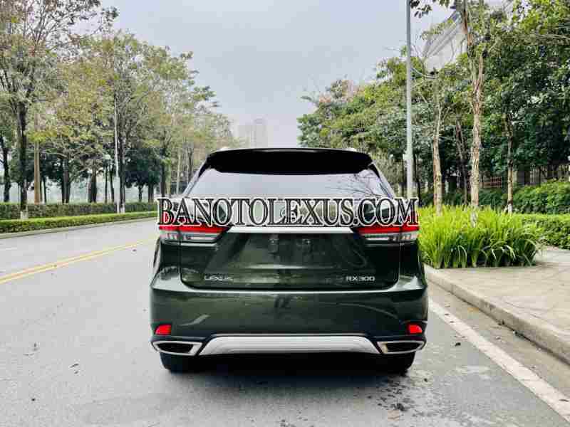 Cần bán xe Lexus RX 300 2021 Số tự động màu Xanh