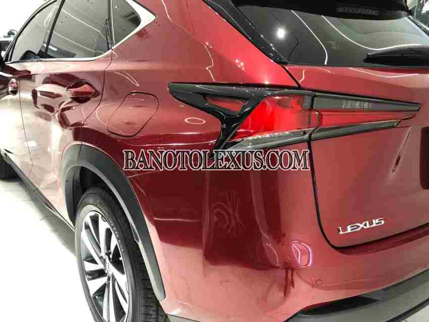 Cần bán xe Lexus NX 300 2019, xe đẹp