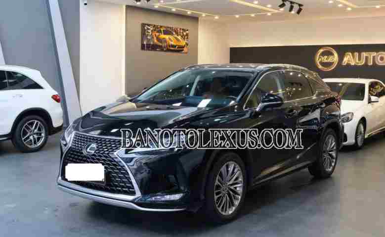 Cần bán gấp xe Lexus RX 300 năm 2021, màu Đen, Số tự động