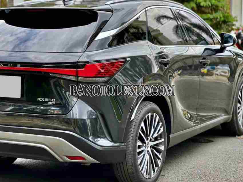 Cần bán xe Lexus RX Số tự động 2023