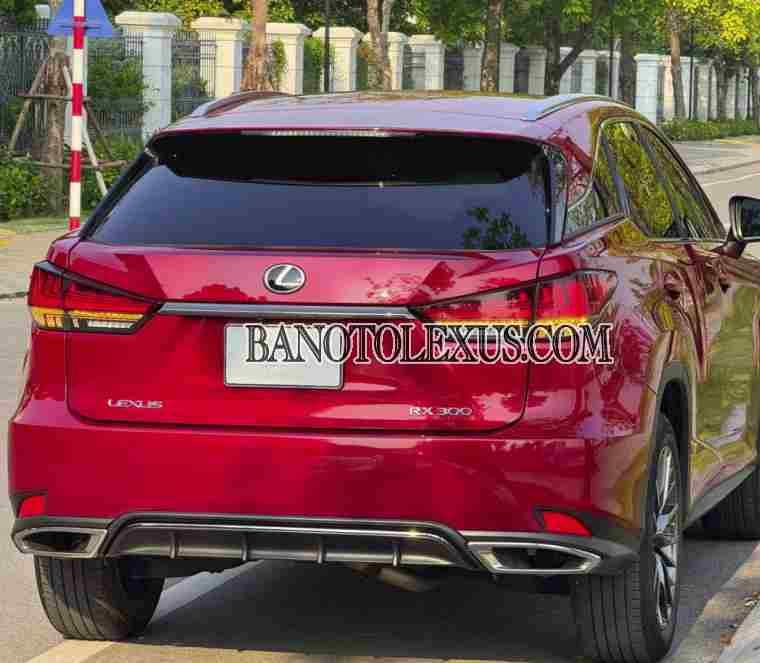 Lexus RX 300 F Sport model 2022 xe chuẩn hết ý