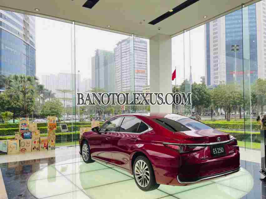 Lexus ES 250 2024 xe đẹp từng centimet