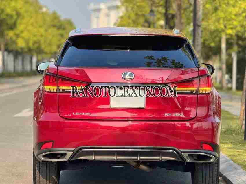 Lexus RX 300 F Sport 2022, xe đẹp, hết ý