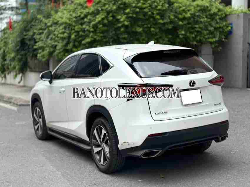 Lexus NX 300 năm 2019 cần bán