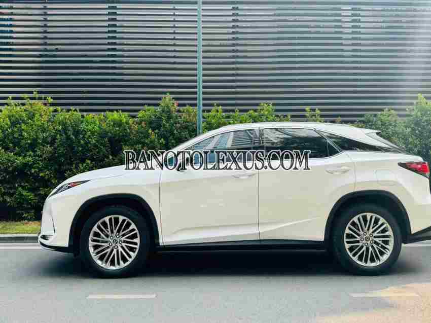 Lexus RX 300 2020 Máy xăng, xe đẹp