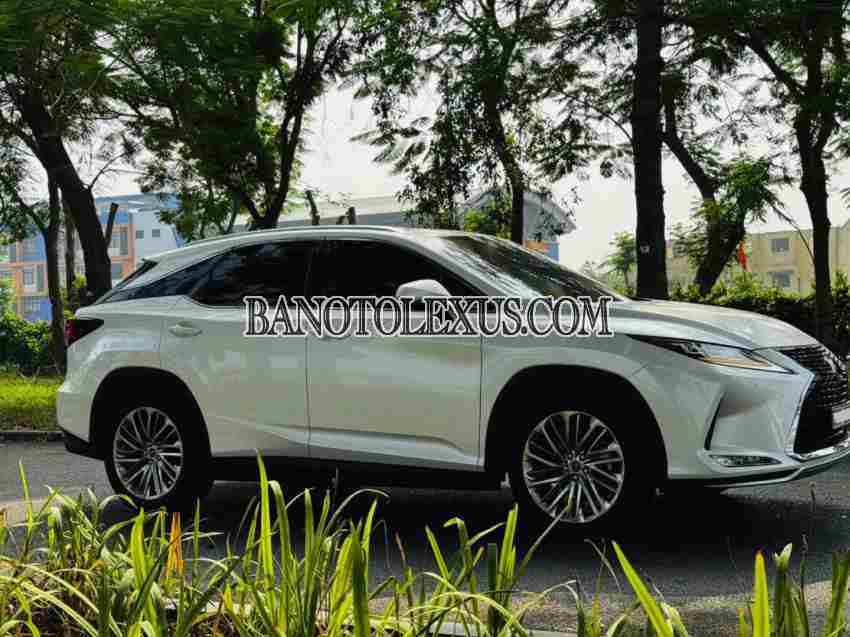 Lexus RX 300 năm 2020 cần bán