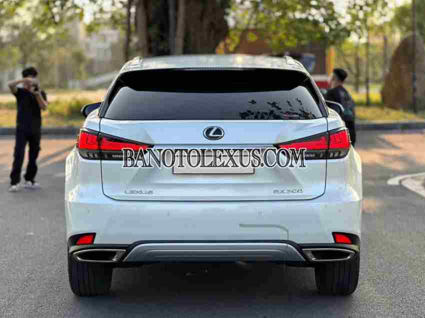 Cần bán xe Lexus RX 300 2020, xe đẹp