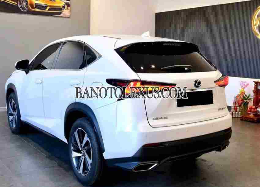 Cần bán xe Lexus NX 300 sx 2018