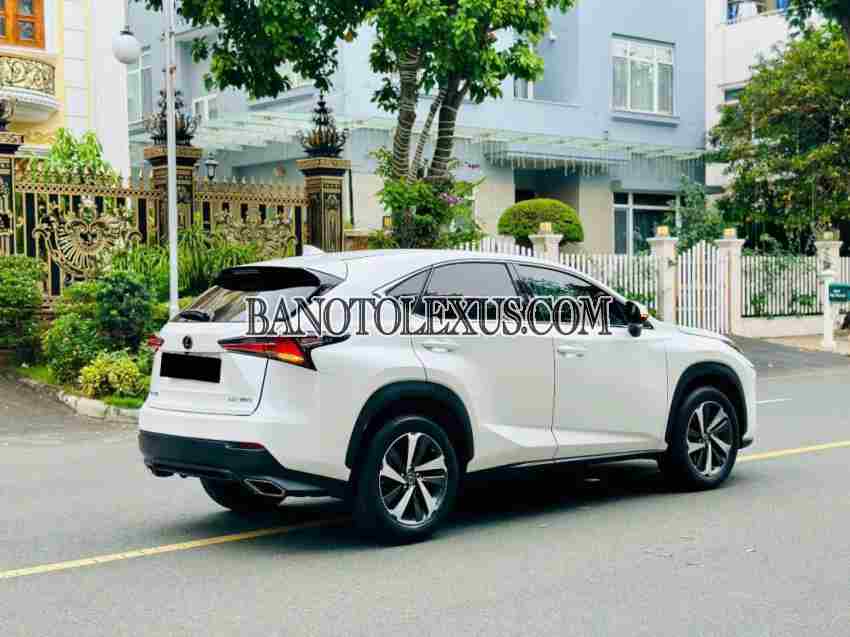 Cần bán xe Lexus NX Số tự động 2018