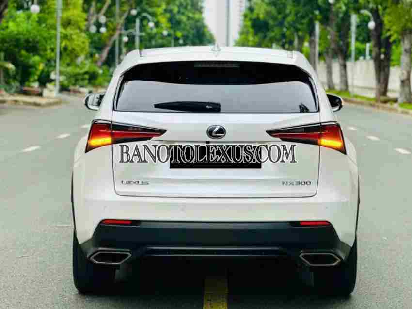 Cần bán Lexus NX 300 2018, xe đẹp giá rẻ bất ngờ