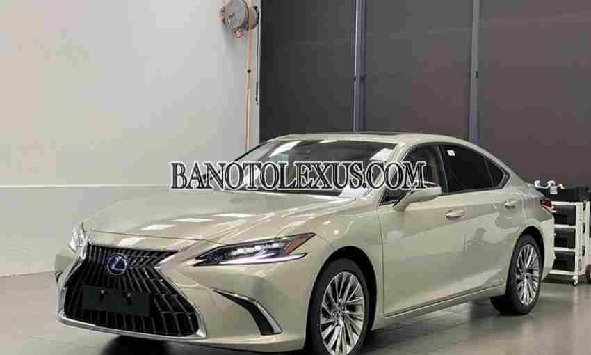 Bán xe Lexus ES 300h màu Ghi 2024