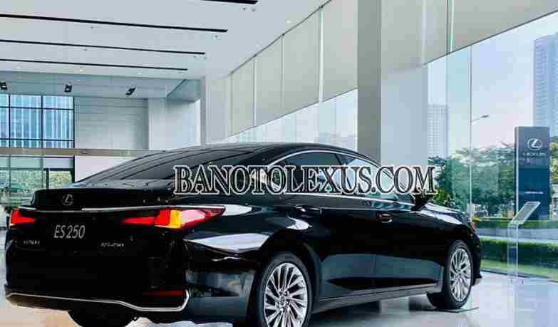 Bán Lexus ES 250 Số tự động sx 2024