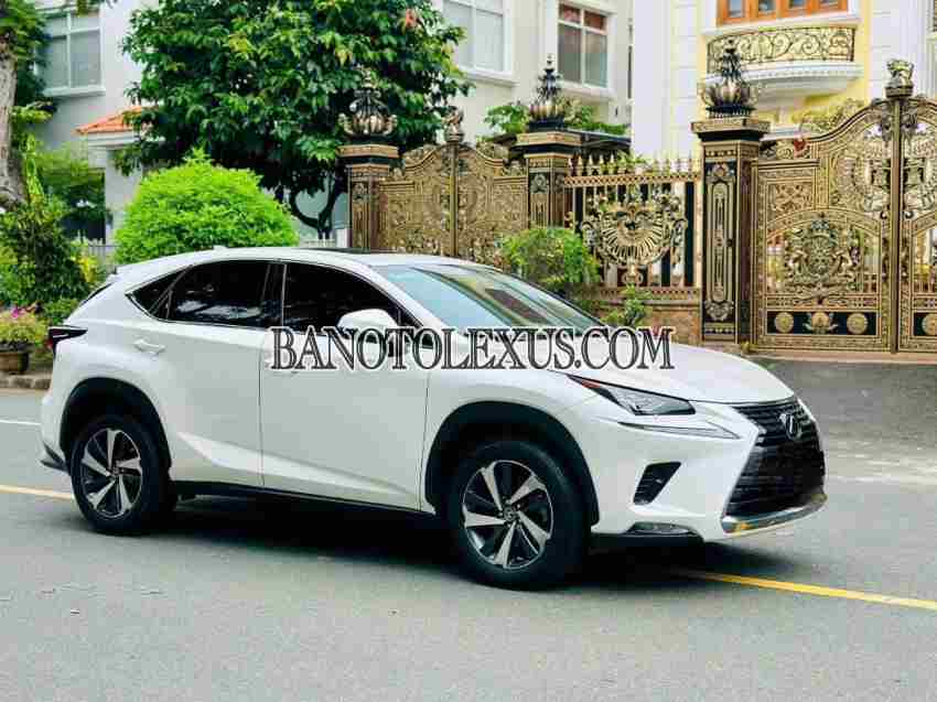 Cần bán Lexus NX 300 Máy xăng 2018 màu Trắng