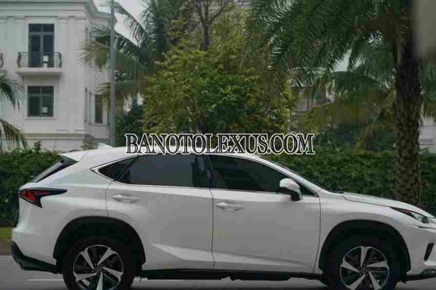 Lexus NX 2018 Suv màu Trắng