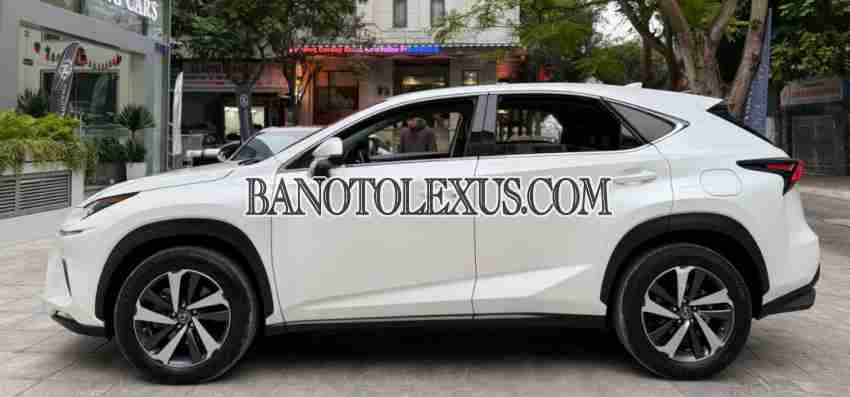 Lexus NX 300 2019 giá cực tốt