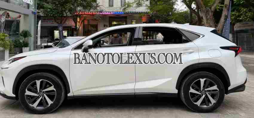 Lexus NX 300 model 2019 xe chuẩn hết ý