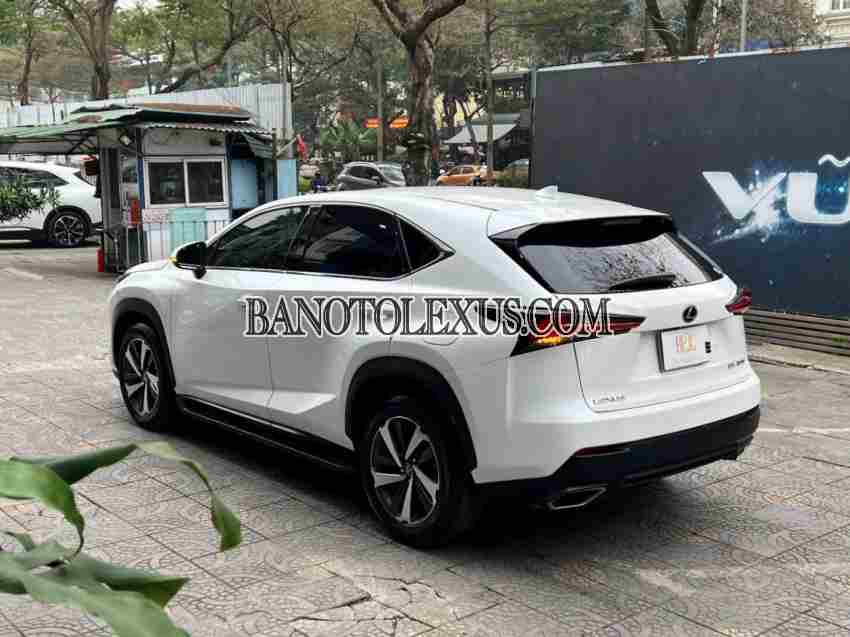 Cần bán xe Lexus NX 300 2018, xe đẹp