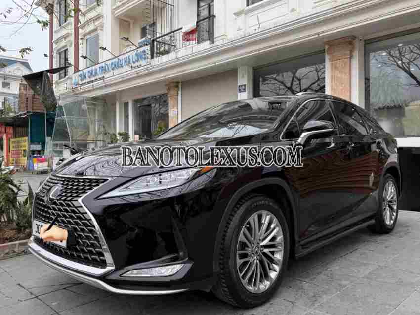 Cần bán Lexus RX 300 đời 2020