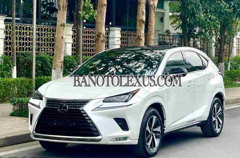 Cần bán gấp Lexus NX 300 năm 2020 giá cực tốt