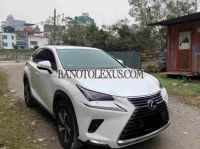 Lexus NX 300 sản xuất 2019 cực chất!