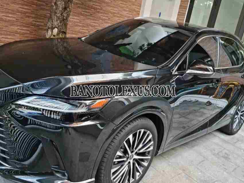 Cần bán xe Lexus RX Số tự động 2023