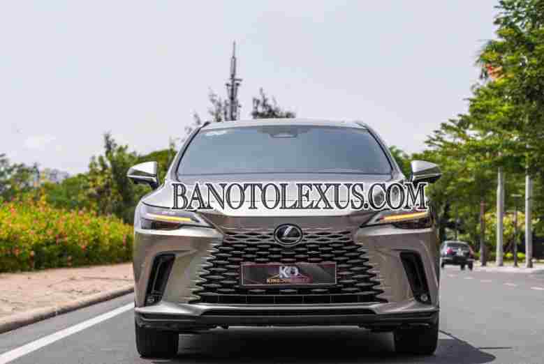 Cần bán xe Lexus RX Số tự động 2023