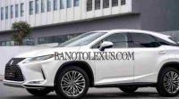 Cần bán gấp xe Lexus RX 300 năm 2022, màu Trắng, Số tự động