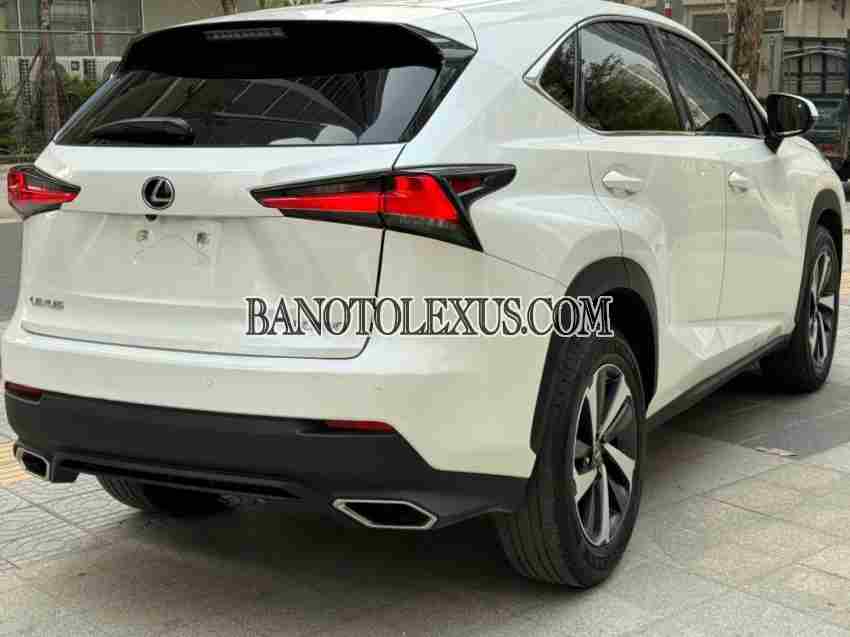 Cần bán gấp xe Lexus NX 300 2019 màu Trắng