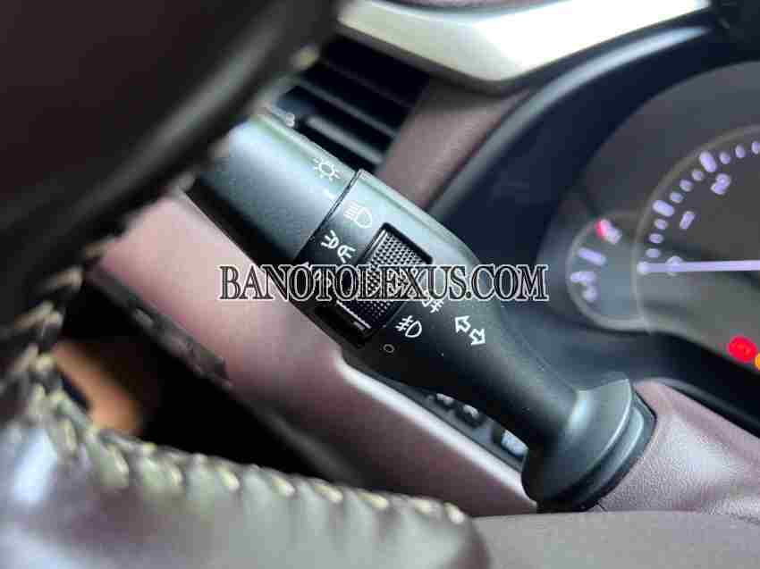 Cần bán xe Lexus RX 300 2018 Số tự động