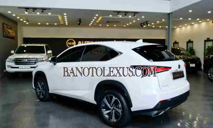 Cần bán Lexus NX 300 đời 2018
