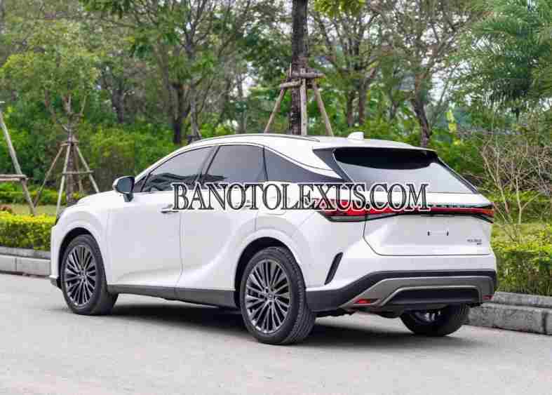 Cần bán xe Lexus RX 350 Luxury màu Trắng 2023