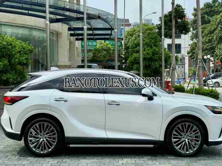 Lexus RX 2023 Suv màu Trắng