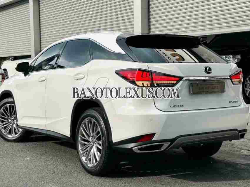 Cần bán gấp Lexus RX 300 2020 - Xe đẹp - Giá tốt