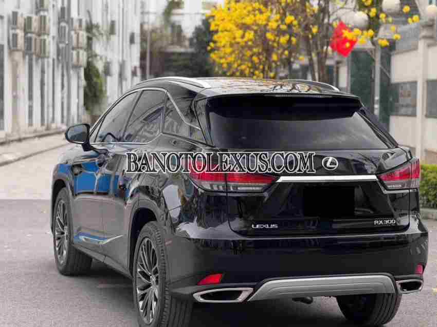 Lexus RX 300 năm 2020 cần bán