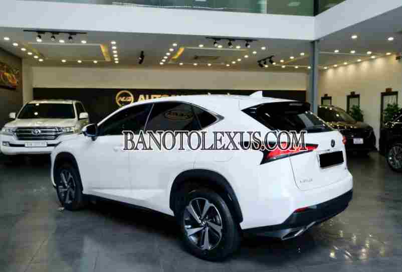 Bán Lexus NX 300 2018 - Trắng