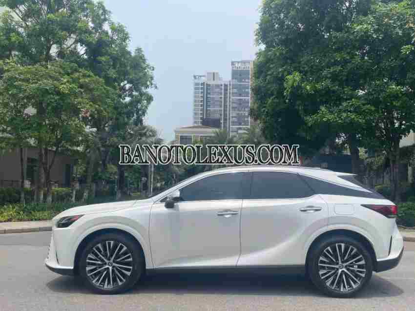 Lexus RX 350 Premium 2024, xe đẹp, hết ý