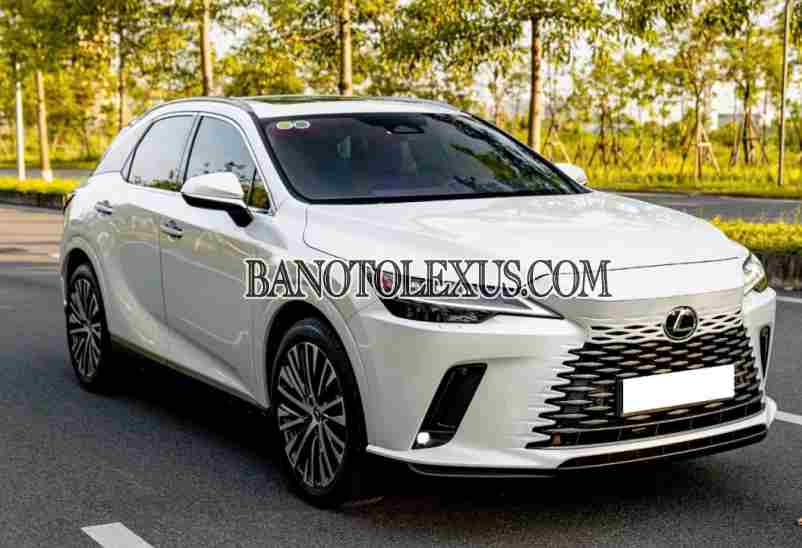 Cần bán xe Lexus RX Số tự động 2025