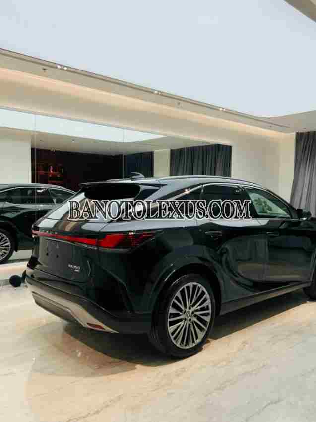 Bán Lexus RX 350 Luxury năm 2025 đẹp xuất sắc