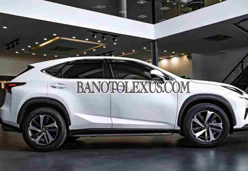 Cần bán gấp xe Lexus NX 300 2017 màu Trắng