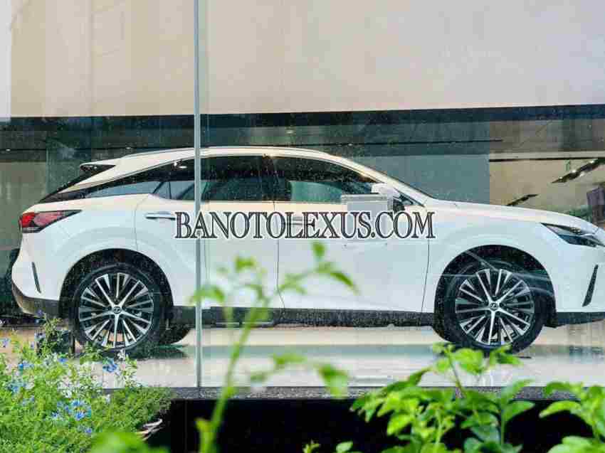 Lexus RX 2025 Số tự động Nhập khẩu cực đẹp