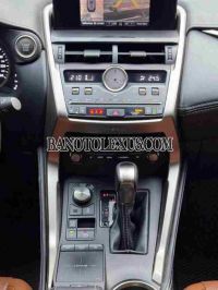 Cần bán gấp xe Lexus NX 300 năm 2019, màu Nâu, Số tự động