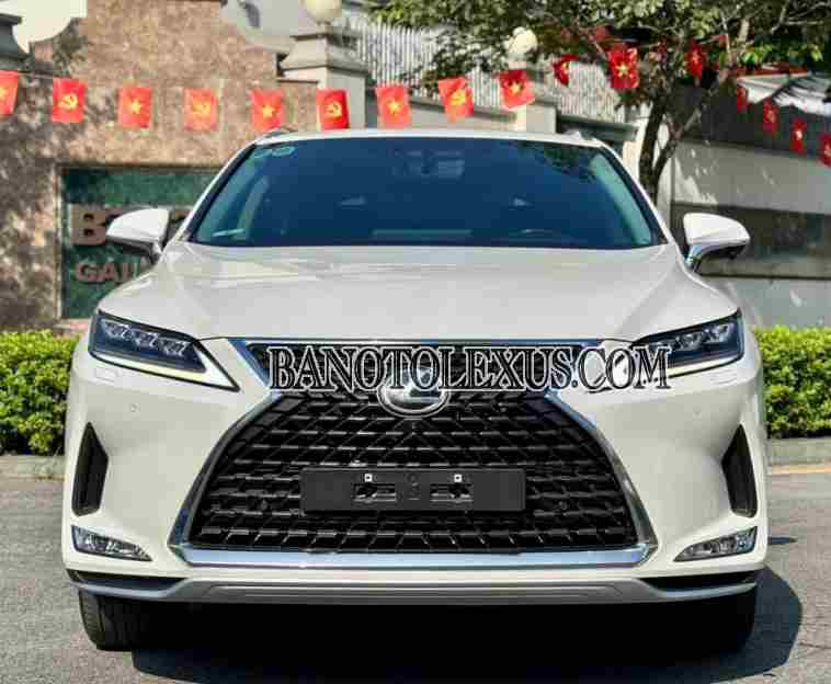 Cần bán xe Lexus RX 300 đời 2022