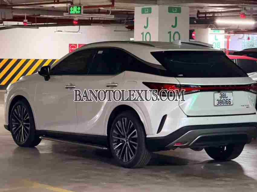 Bán Lexus RX 350 Premium 2024 - Trắng