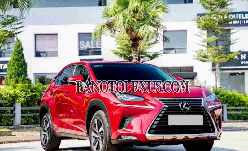 Lexus NX 300 2019, xe đẹp, hết ý