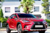 Lexus NX 300 2019, xe đẹp, hết ý