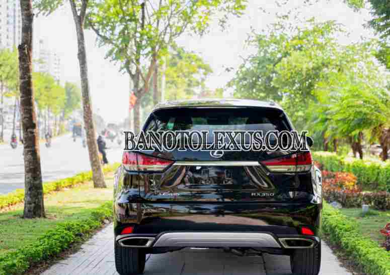 Cần bán Lexus RX 300 đời 2021