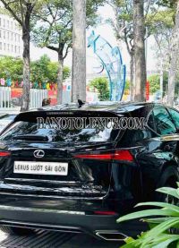 Cần bán gấp xe Lexus NX 300 năm 2020, màu Đen, Số tự động