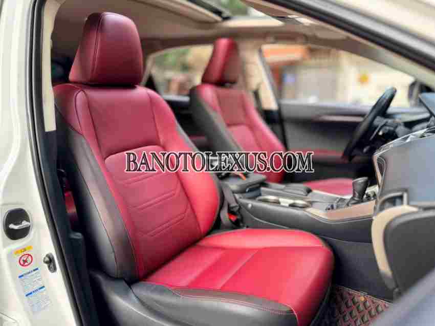 Lexus NX 300 2018 Máy xăng đẹp long lanh