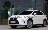 Lexus RX 300 năm 2021 cần bán